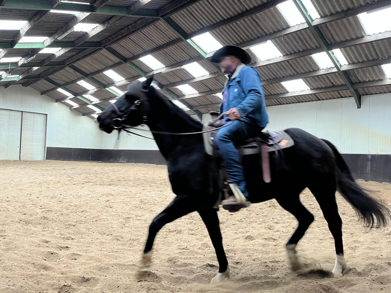 52c852a2-9e3c-4765-a93d-f187b459a6b3 2